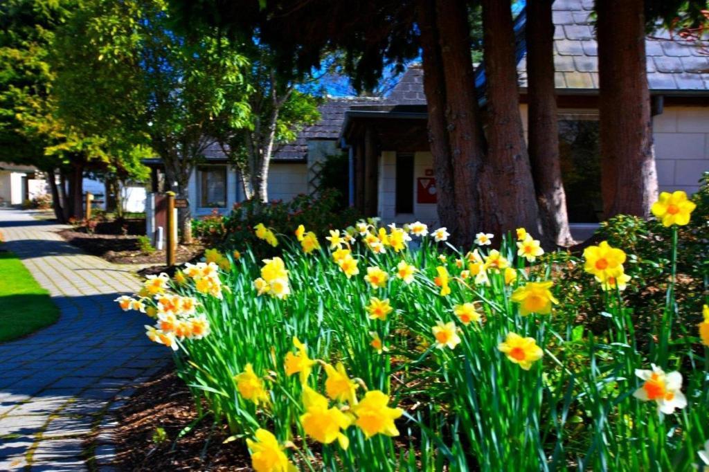 Distinction & Hotel Te Anau